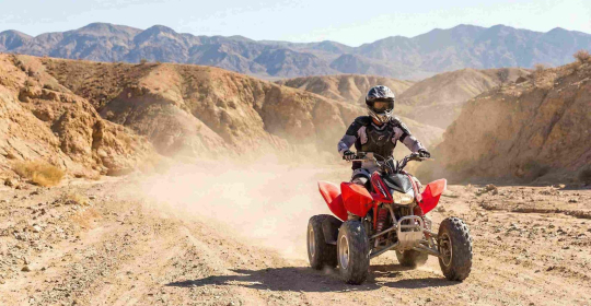 Quad Bike Buying Guide for Beginner and Pro Riders