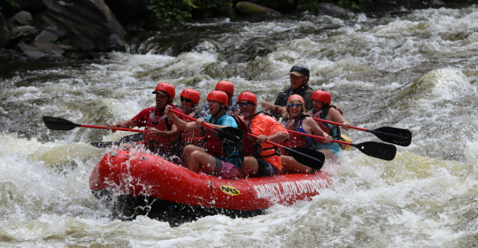 Top Reasons to Book a South Fork American River Rafting Trip